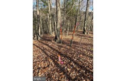 CARDINAL VIEW ROAD, PAW PAW, WV 25434
