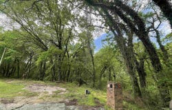 Lot 8 Adams Street, Cherokee, AL 35616