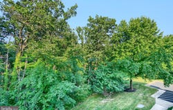 3802 MEGHAN DRIVE, NOTTINGHAM, MD 21236