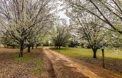 4597 Hernando Road, HOLLY SPRINGS, MS 38635