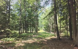 8765 BO DI LAC DR N, Minocqua, WI 54548