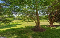 1461 FOUR POINT Court, ELDERSBURG, MD 21784