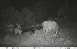 163 CR 402, Lindrith, NM 87029