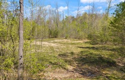 Fraley Drive, Morehead, KY 40351