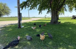 3055 Maple Avenue, Forest City, IA 50436