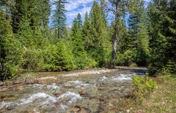 189 Blue Creek Road, Heron, MT 59844