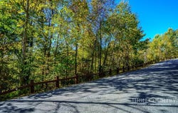 Pine Cove Road lot: 39 Tbd, Elk Park, NC 28622