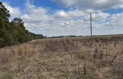 County Road 6, Black, AL 36340