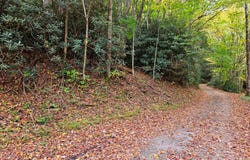 Lot 14b Pennington Branch Road, Damascus, VA 24236
