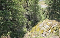 279X DEEP LAKE BOUNDARY RD, NORTHPORT, WA 99157