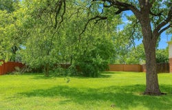 3412 Inwood CV, Round Rock, TX 78681