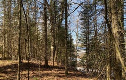 0000 BIRCH POINT LN, Presque Isle, WI 54557