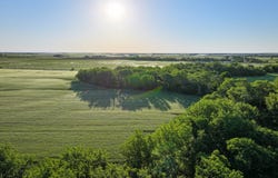 13  Road, Moline, KS 67353