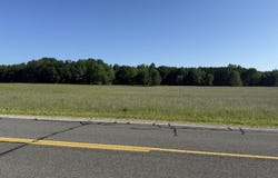 12828 Buchanan Road, Stanwood, MI 49346