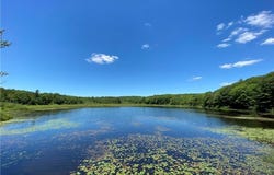 Greenwoods Road E, Norfolk, CT 06058