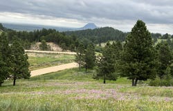 Lot 30 Summit Pass, Whitewood, SD 57793