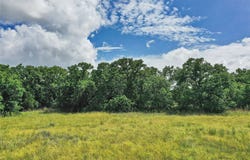 157 Acres Nash Road, Jacksboro, TX 76458