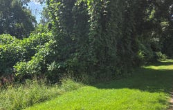 Lunenburg Avenue lot: 5 6 7, Victoria, VA 23974