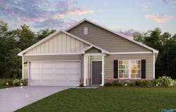 17850 Daniel Island Drive, Athens, AL 35611