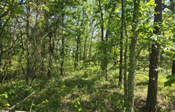 TRACT 40 TRAIL RIDGE ROAD, Albion, OK 74571