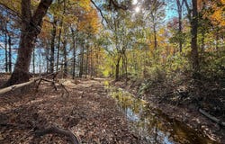 County Road 105, Hickory Ridge, AR 72347