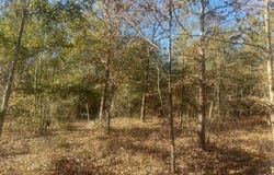 Golden Eagle Lane, Hephzibah, GA 30815