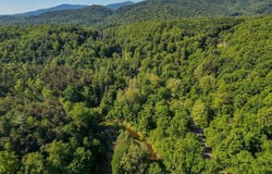 Merriman Rd, Boones Mill, VA 24065
