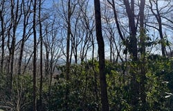 Tbd Buck Hollar Rd., Hillsville, VA 24343