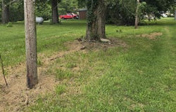 Washington, Hartsville, IN 47244