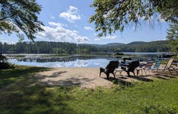 Beaver Dam Road lot: 36, New Hampton, NH 03256