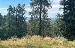 Log Ridge Trail, Chama, NM 87520