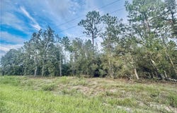 SE 136th Terrace, Dunnellon, FL 34431