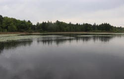 N5642 8th Drive, Westfield, WI 53964