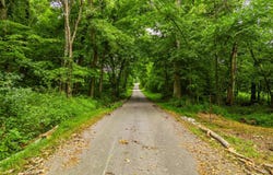 426 H W McPherson Road, Lewisburg, KY 42256