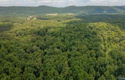 23 acres Riverview Lane, Gadsden, AL 35905