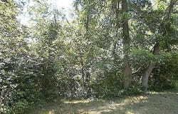 0 MYRNA DRIVE, St Clair, PA 15241