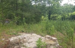11284 US HIGHWAY, RIVERSIDE, AL 35135