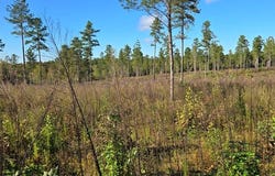 Millville Rd lot: B, Lawrenceville, VA 23868