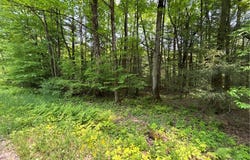 Spring Road S, Ossian, NY 14437