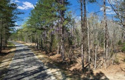 573 Qualls Road, Ridgeway, SC 29130