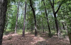 7515 Lambeth Drive, Saraland, AL 36571