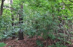 101 Overlook Dr, Greenwood, SC 29649