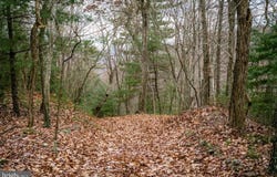 Lot 22 BUCK RIDGES ROAD, FRANKLIN, WV 26807