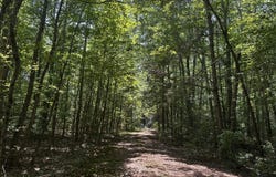 Parcel B, 000 Buckley Hall Rd, Dutton, VA 23035