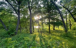 15988 Solitude Court NW, Evansville, MN 56326