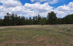 104 CHAP WAY, Hartsel, CO 80449