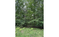 114 Bluff Drive, Leroy, MI 49655