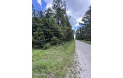 Tbd Salleys Lane, Pineland, SC 29934