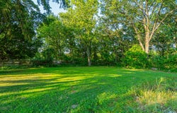 14507 Morse Street, Cedar Lake, IN 46303