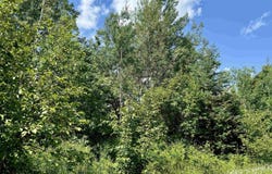 TBD Plantation, Rock, MI 49880